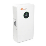 Аккумулятор FelicityESS LiFePO4 LiFePO4 FLA48100-EU 48v 100Ah, BMS 100A@16S, 5.12kW 00-00020756 фото